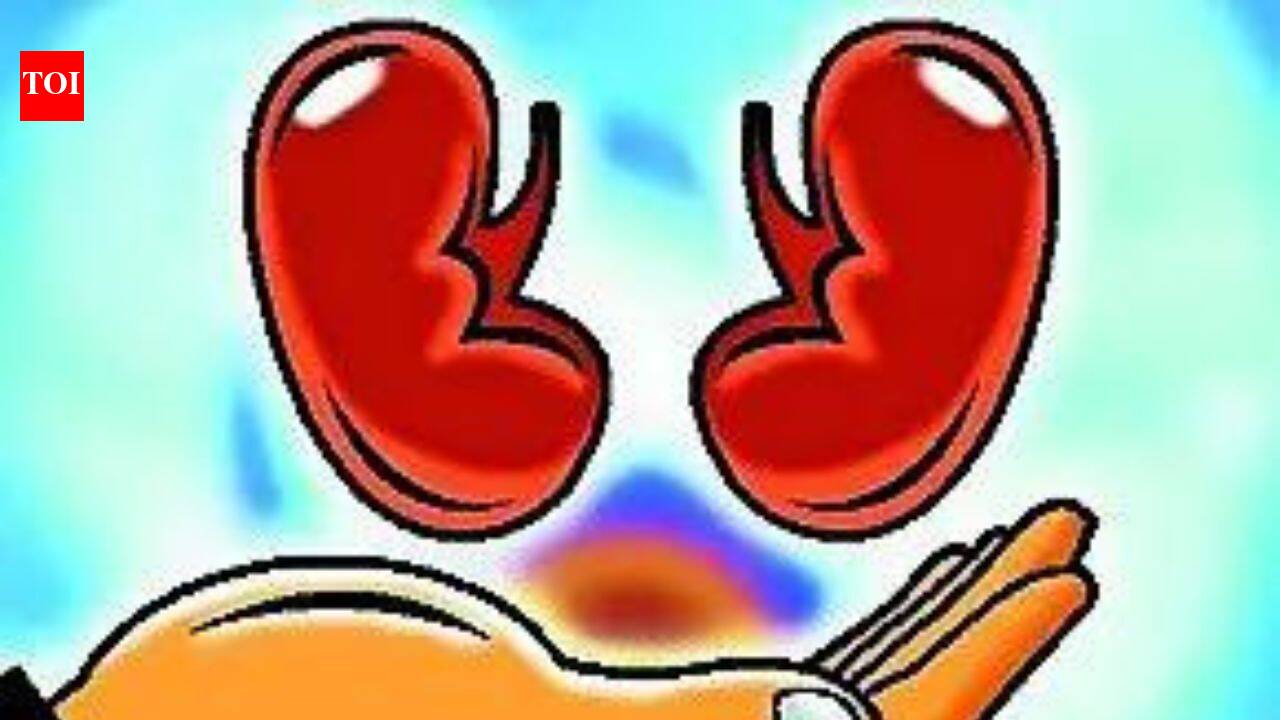 Hospitals told to make public their kidney transplant success rate