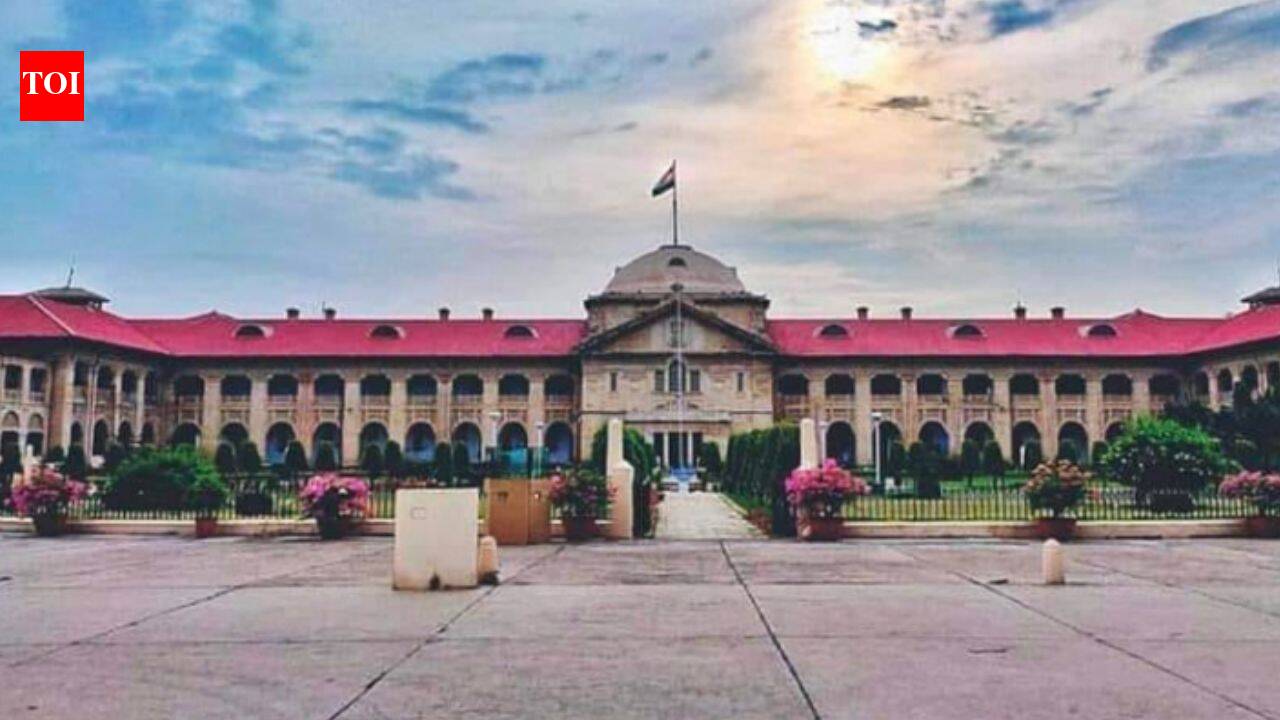 Village heads in UP can’t be allowed to continue as administrators, says Allahabad high court
