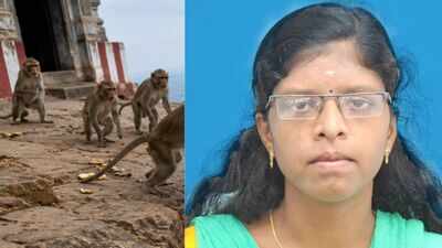 After monkey scare, newlywed woman dies after falling from temple hill in Tamil Nadu