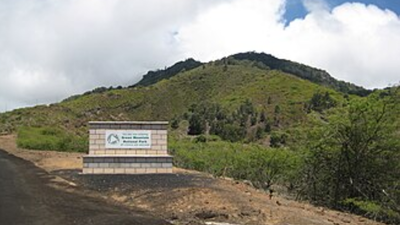In 1843, British settlers planted foreign trees on Ascension Island, and a cloud forest took shape