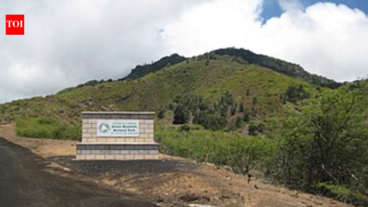 In 1843, British settlers planted foreign trees on Ascension Island, and a cloud forest took shape