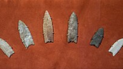 In 2014, researchers sequenced the Anzick child's genome and traced Clovis ancestry to Native Americans