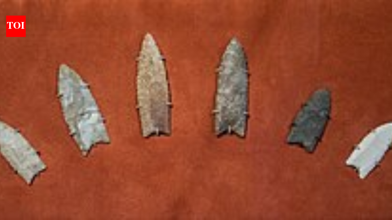 In 2014, researchers sequenced the Anzick child's genome and traced Clovis ancestry to Native Americans