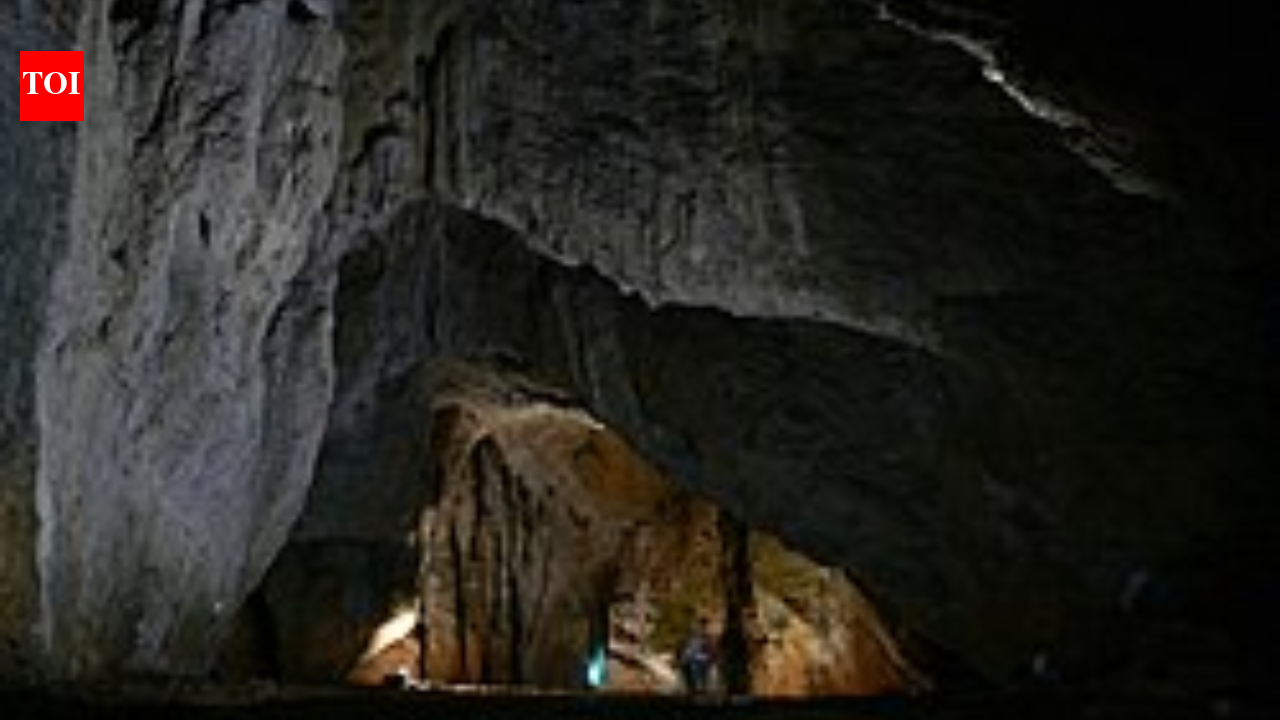 In 2021, DNA from Bacho Kiro Cave revealed earlier modern human movement into Europe