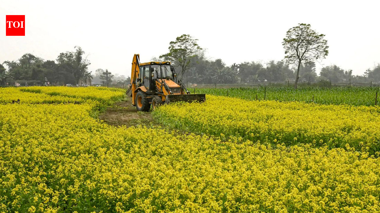 Buying agricultural land in India? Here's what you need to know