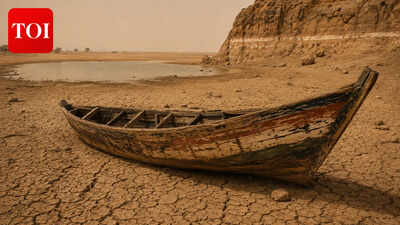 In the early 1900s, fishermen at the edge of the Sahara saw a desert lake start to die back; by 2000, Lake Chad had shrunk by 90%, and a series of NASA studies traced the cause to a deadly combination of irrigation and a drying climate