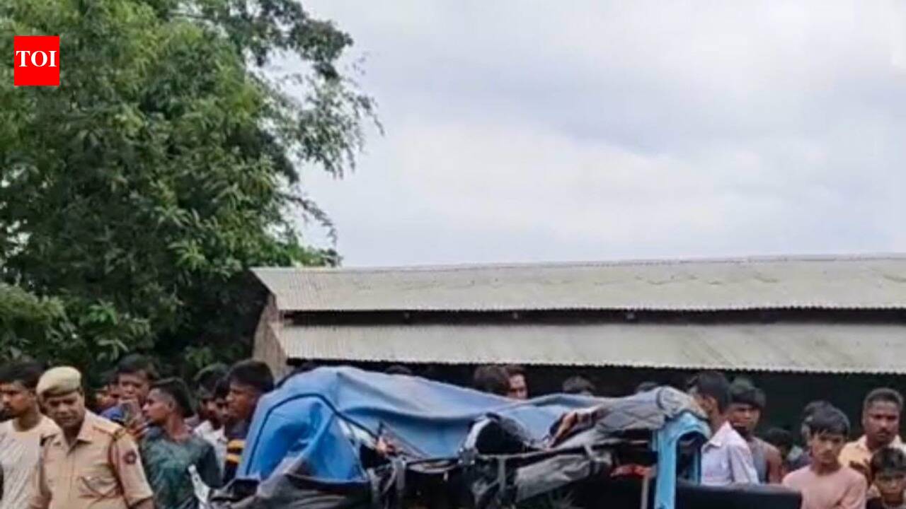 Auto driver killed, two hurt in Hailakandi truck collision