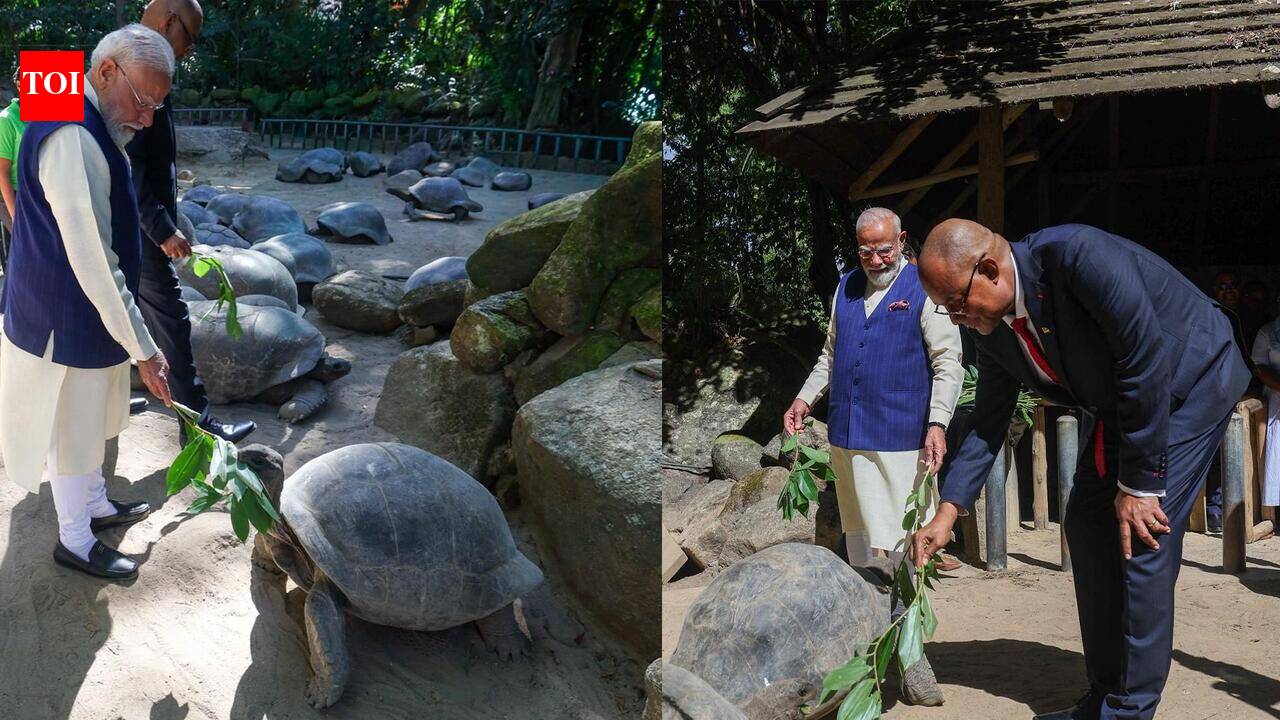 PM Modi Meets Jonathan, World's Oldest Living Land Animal, During Seychelles Visit