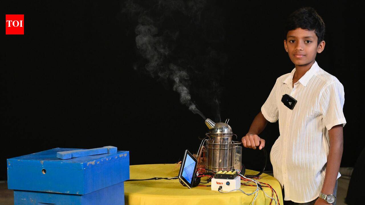 Class 8 student saves bee colony, relocates hive from school compound
