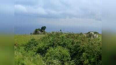 Missing mist leaves Himavad temple tourists disappointed