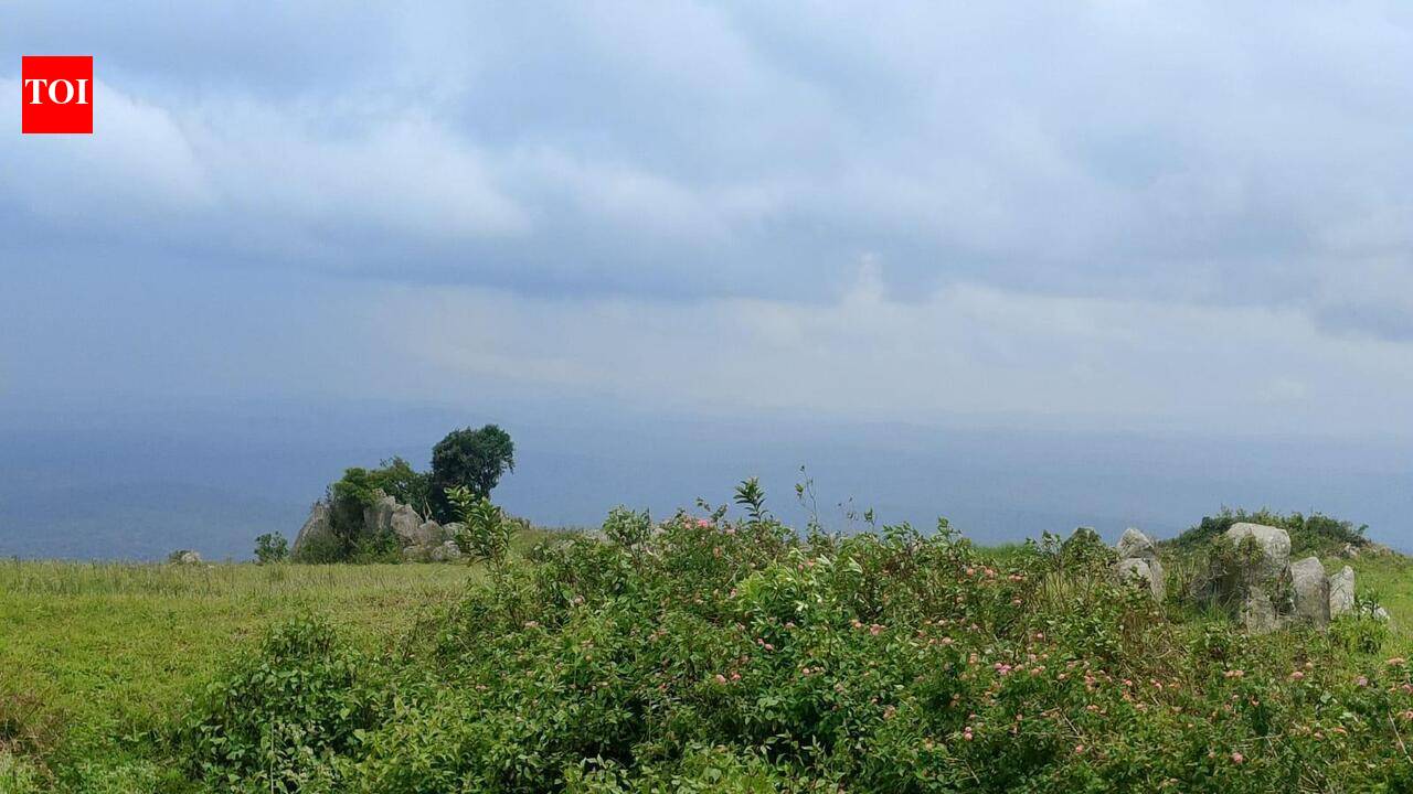 Missing mist leaves Himavad temple tourists disappointed