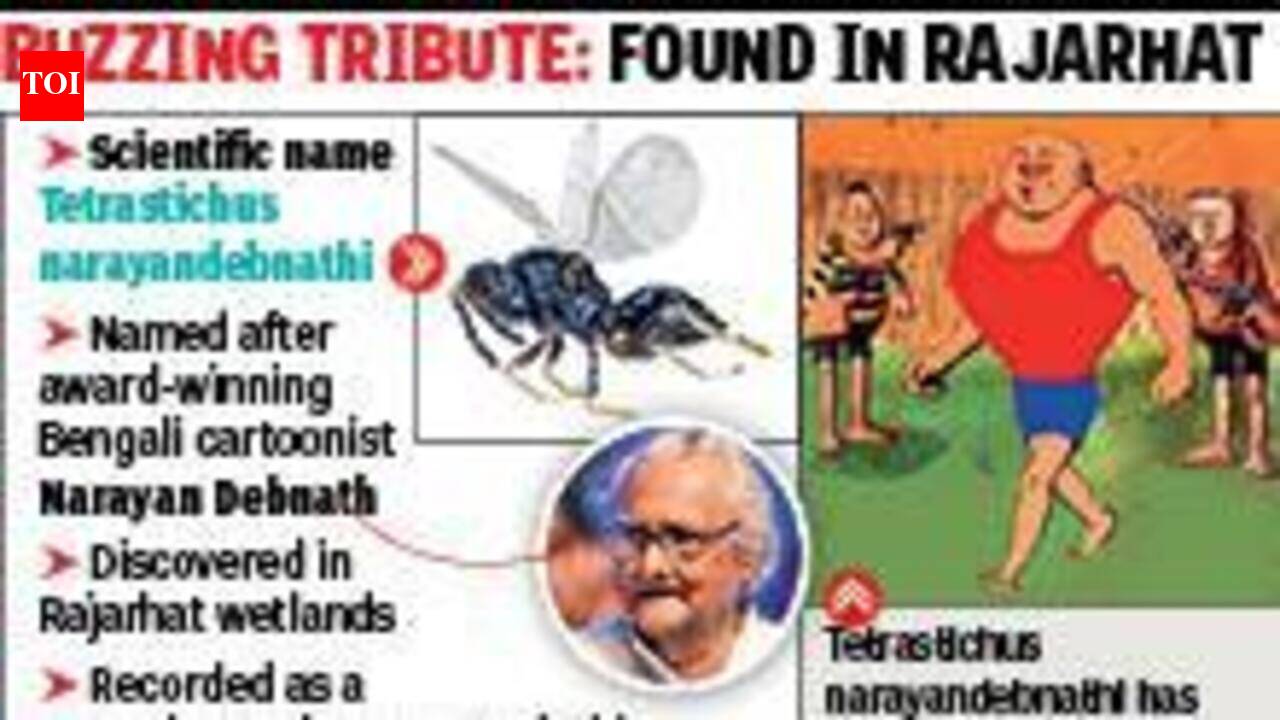 Scientists Discover New Wasp Species in Rajarhat, Name It After Narayan Debnath