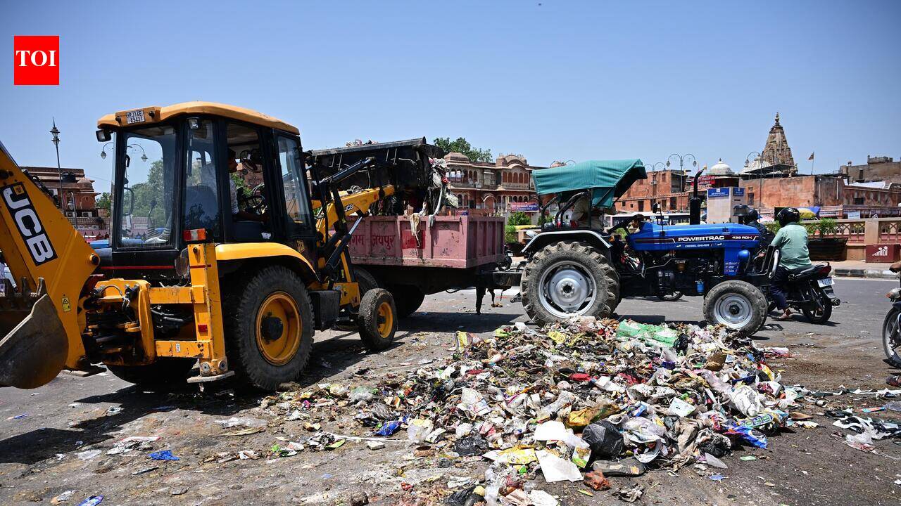 Sanitation workers’ strike disrupts civic services