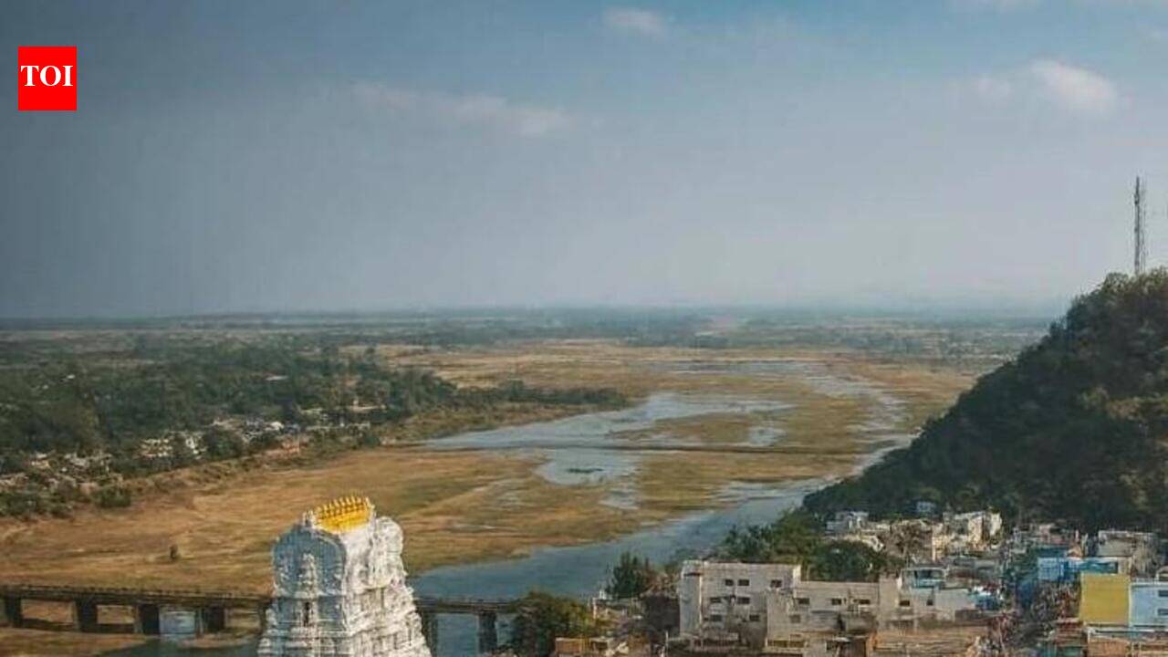 Streamlined darshan system doubles Rahu-Ketu puja footfall at Srikalahasti temple
