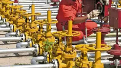 Over 1.60 Lakh new domestic PNG connections issued in Uttar Pradesh till June 24