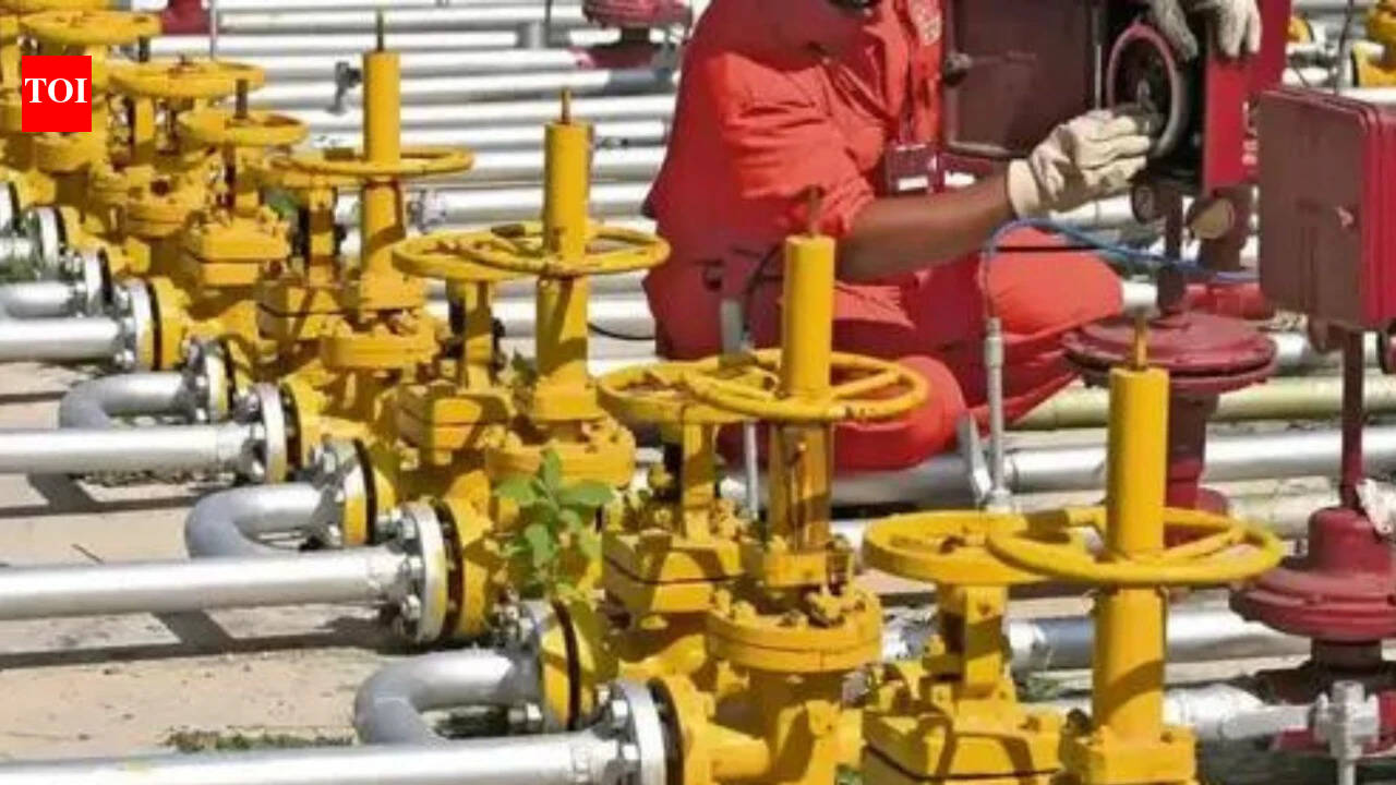 Over 1.60 Lakh new domestic PNG connections issued in Uttar Pradesh till June 24
