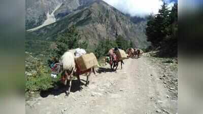 India-China border trade via Lipulekh yet to take off despite June 1 reopening