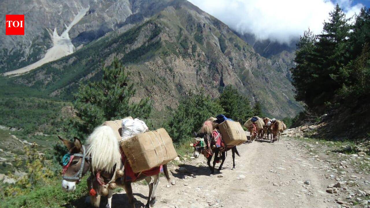 India-China border trade via Lipulekh yet to take off despite June 1 reopening