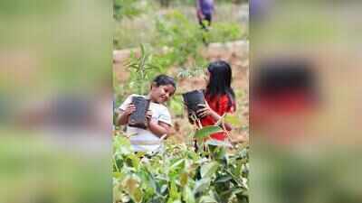 Bengaluru attempts Guinness World Record with 15 lakh saplings in mega plantation drive