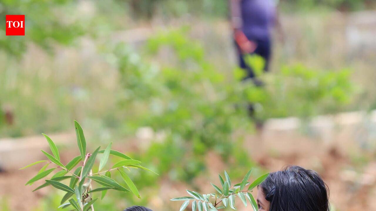 Bengaluru attempts Guinness World Record with 15 lakh saplings in mega plantation drive