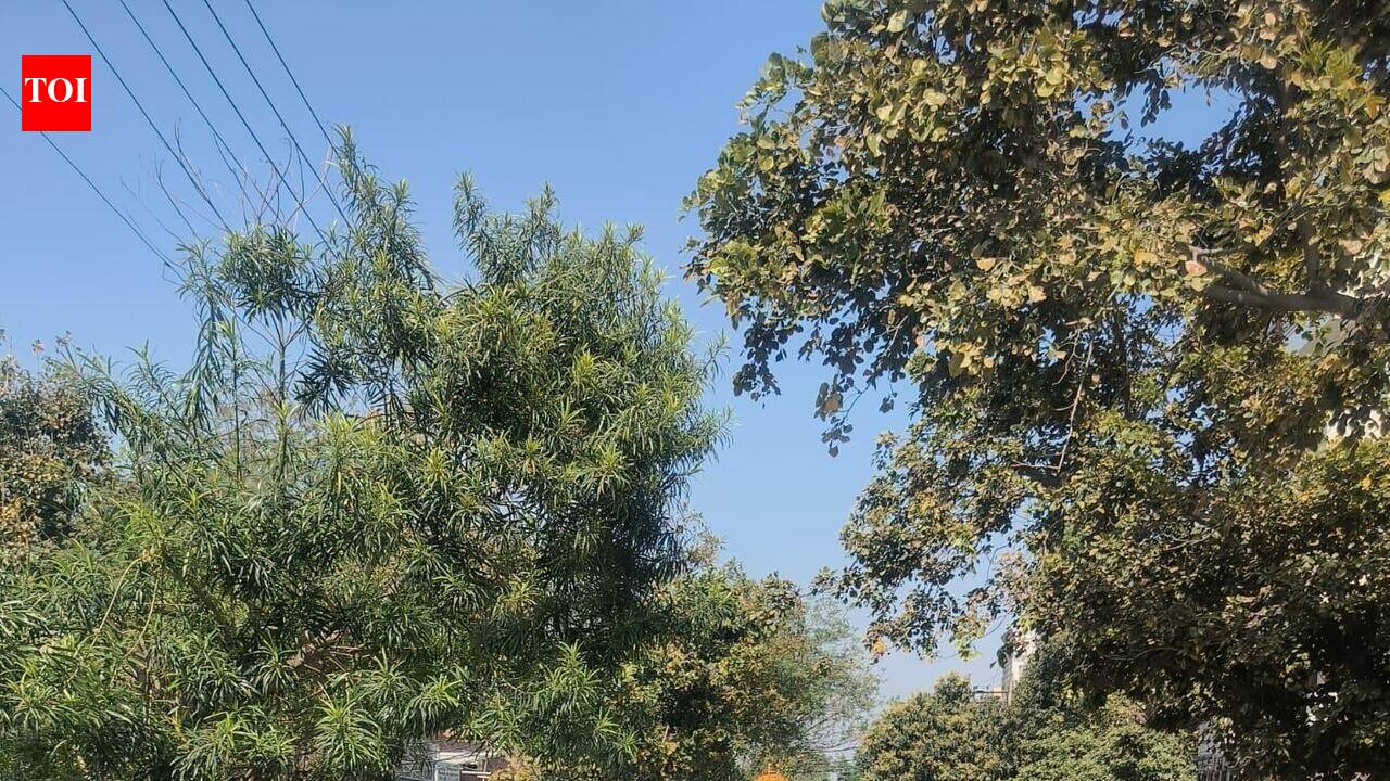 98 fined for illegal parking in Panchkula