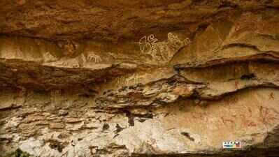 Nagpur University students discover prehistoric rock art heritage in Madhya Pradesh