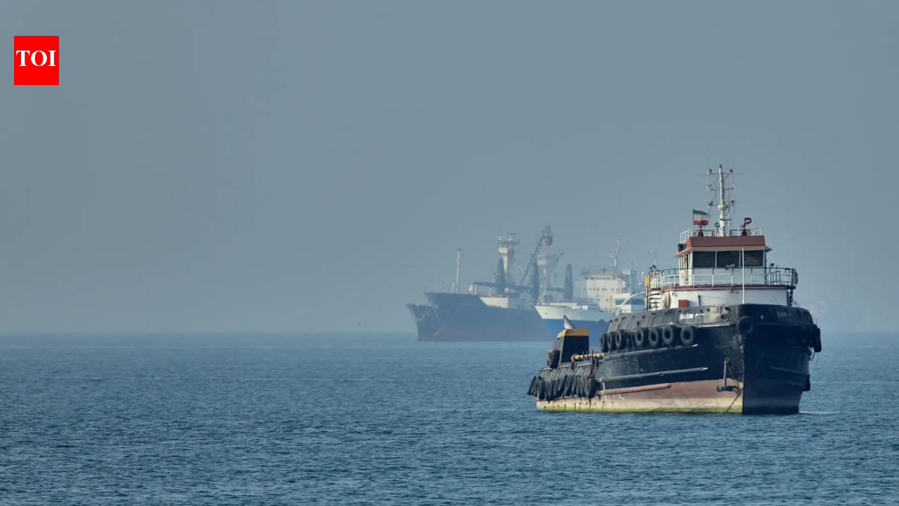 7 India-bound cargo ships cross Hormuz in 3 days, 15 in queue
