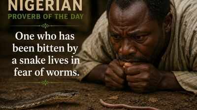 Nigerian proverb of the day: "One who has been bitten by a snake lives in fear of worms" and why old wounds make us fear harmless things
