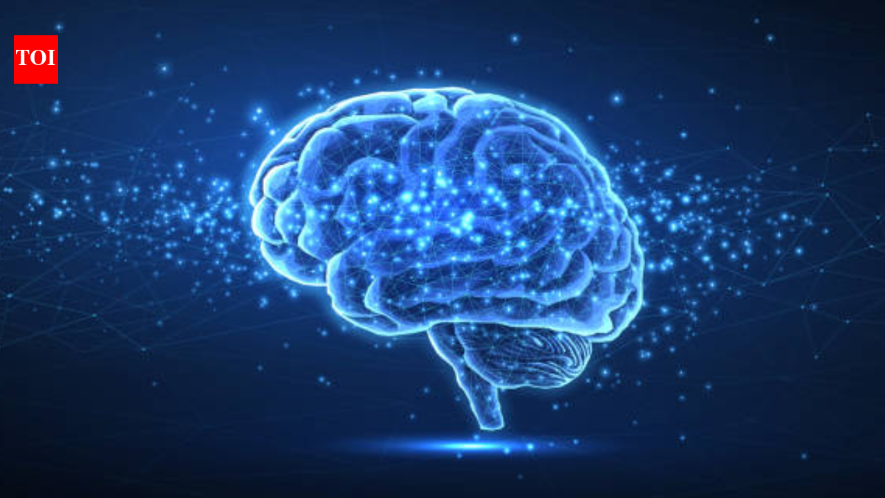 Study finds iron accumulation in the brain may lower the brain's defences: How does iron build up?