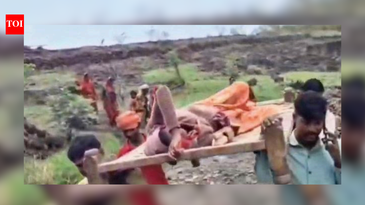 Delivers baby on way: Villagers ferry pregnant woman on cot across river in Madhya Pradesh amid lack of bridge