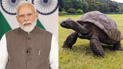 Prime Minister Narendra Modi meets 194-year-old Jonathan during Seychelles visit; here’s the incredible story of the world’s oldest living land animal
