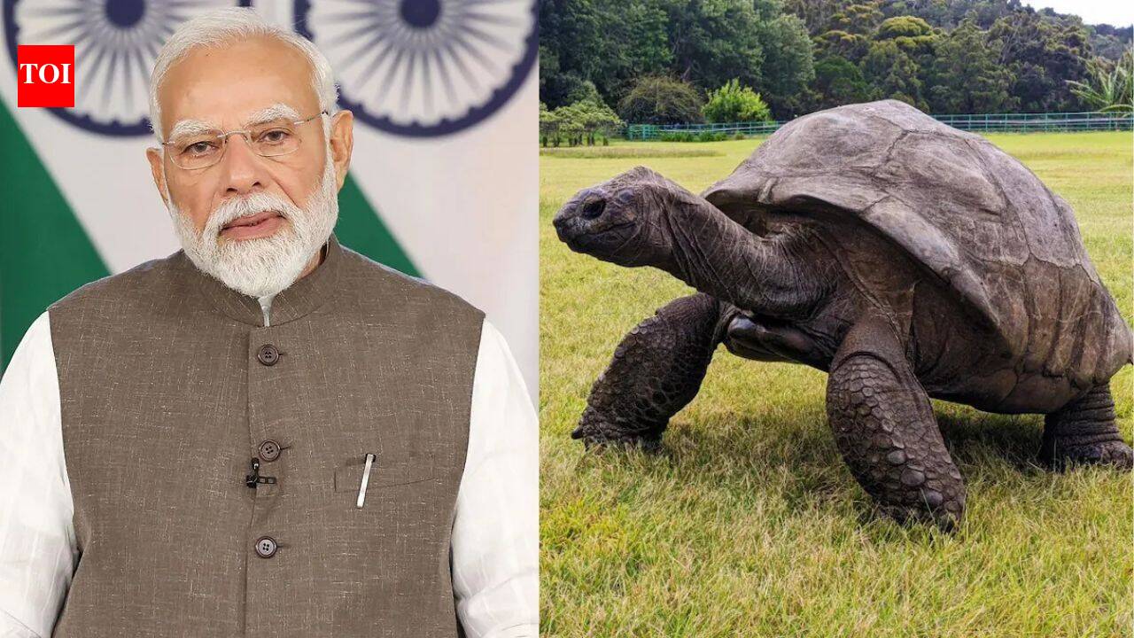 Prime Minister Narendra Modi meets 194-year-old Jonathan during Seychelles visit; here’s the incredible story of the world’s oldest living land animal