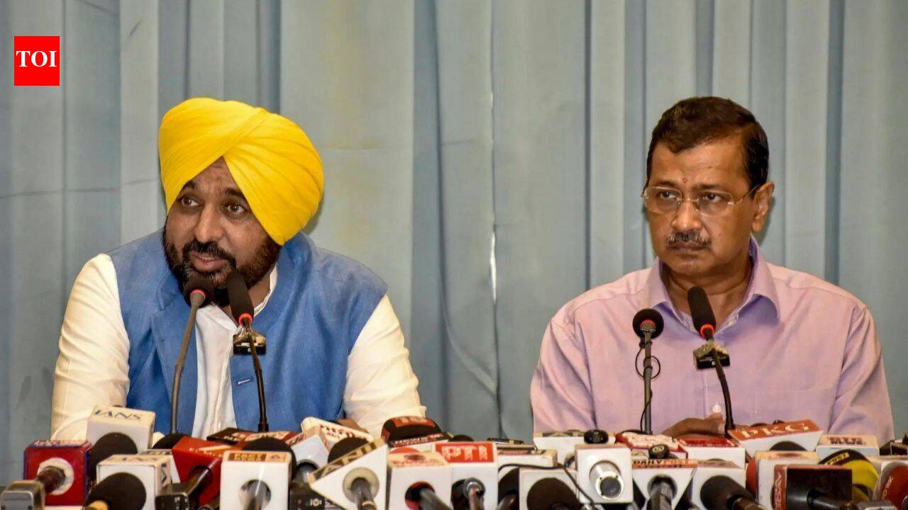 'Will send clip, present my side in writing': Bhagwant Mann ahead of AAP ministers' June 29 Akal Takht appearance