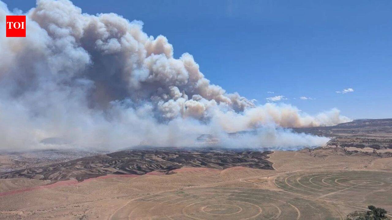 Three firefighters killed battling wildfires on Colorado-Utah border as blazes spread across US West