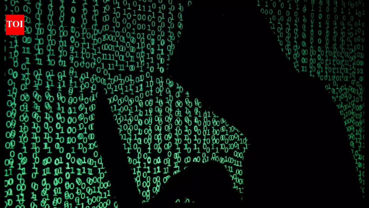 Meerut Development Authority website hacked; homepage replaced with pro-Pakistan messages