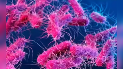 Kerala reports 10 more Shigella cases; 290 in total in June