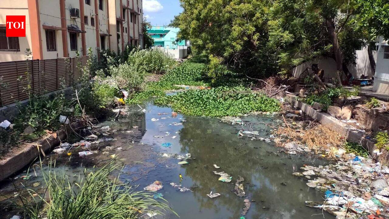 Residents call for cleaning of Kiruthumal channels