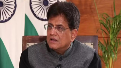 piyush-goyal-file-photo.jpg