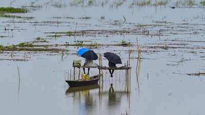 Assam floods: Railway bridge partially collapses in Dhemaji; iron bridge washed away in Jonai