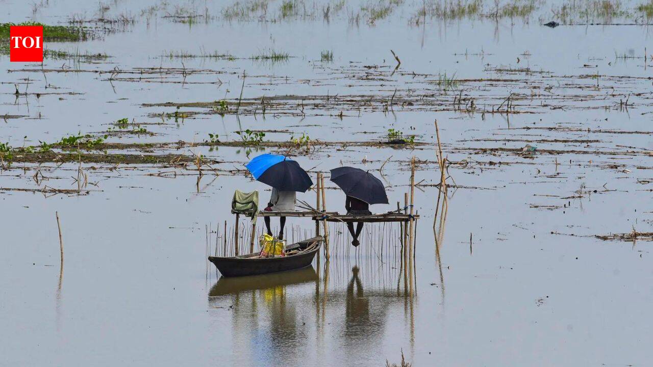 Assam floods: Railway bridge partially collapses in Dhemaji; iron bridge washed away in Jonai