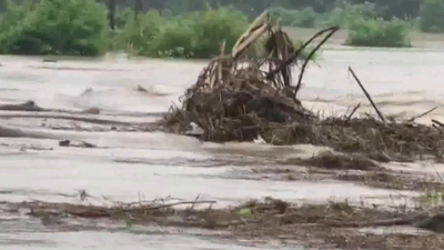 Railway bridge over Simen river partially collapses after heavy rain in Assam; train services suspended, villages cut off