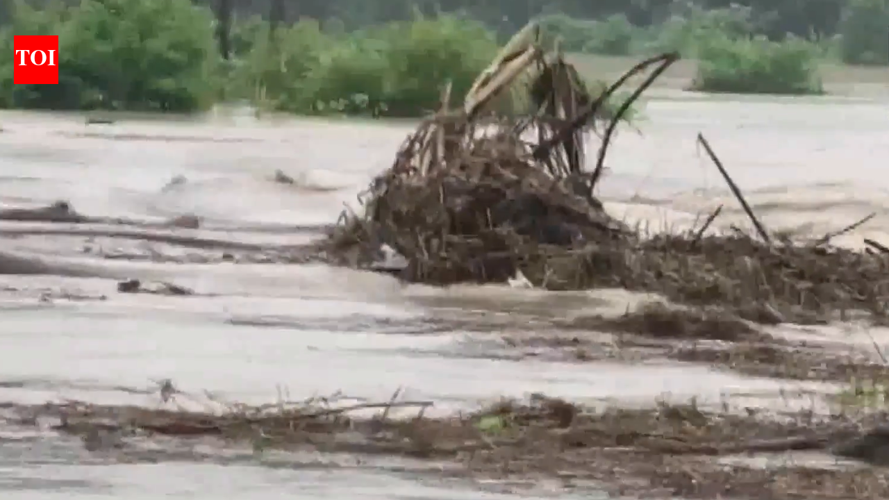 Railway bridge partially collapses after heavy rain in Assam; train services suspended, villages cut off