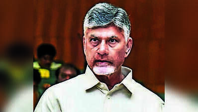 Naidu seeks Rs 281 crore relief for Totapuri mango farmers