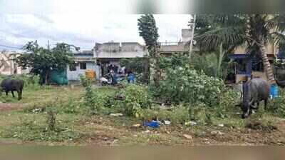  Double tax for unkempt open sites