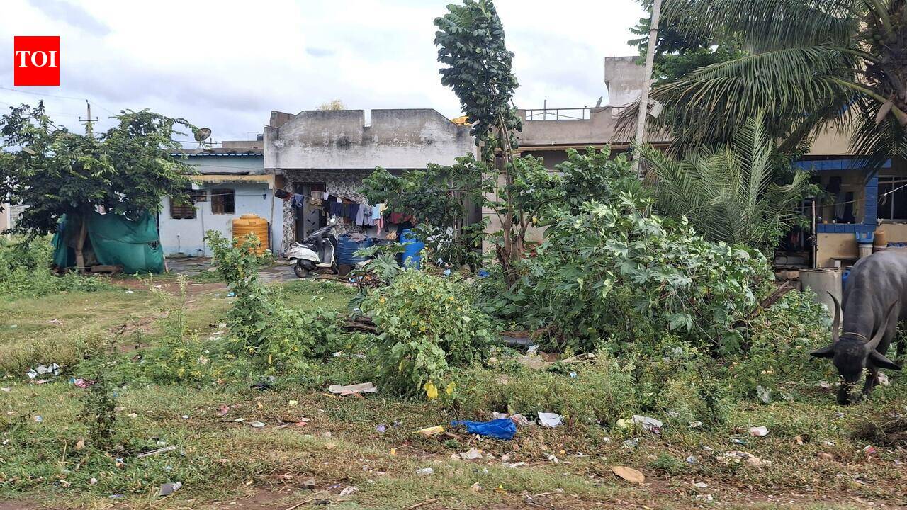 HDMC cracks whip: Double tax for unkempt open sites