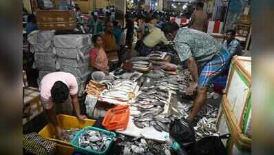 Fish vendors’ encroachments choke Chintadripet roads