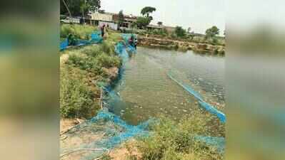 Fisheries cooperative societies helping the community become self-reliant