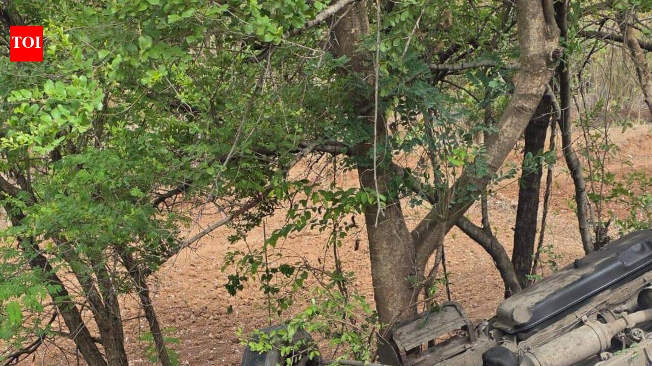 2 Mumbai trekkers killed, 18 injured as minibus plunges into gorge in Pabe Ghat