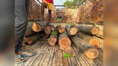Fire breaks out at timber warehouse in Bhiwandi; no casualties