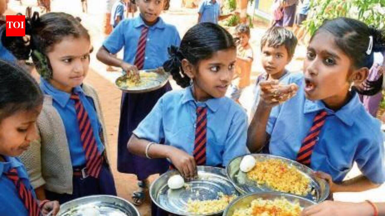 Extend breakfast, mid-day meal scheme to all govt colleges: Junior lecturers to CM